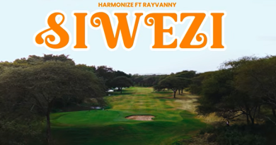 Harmonize ft Rayvanny - SIWEZI