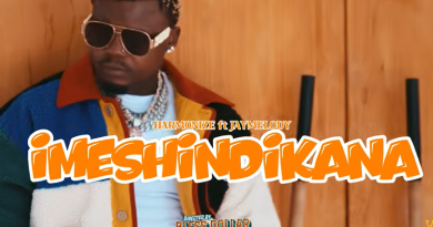 Harmonize ft Jay Melody - IMESHINDIKANA