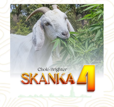 Cholo Brighter - SKANKA 4
