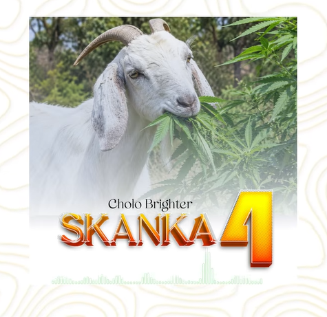 Cholo Brighter – SKANKA 4 | AUDIO