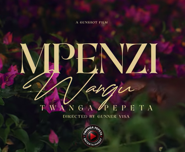 Twanga Pepeta – MPENZI WANGU | AUDIO