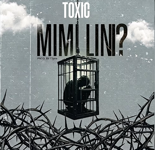 Toxic Fuvu – MIMI LINI | AUDIO