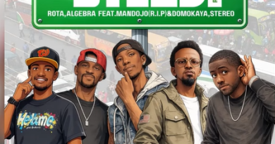 Algebra & Rota ft Stereo,Mandojo,Domokaya - TUPO STENDI remix