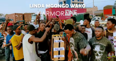 Harmorapa - LINDA MGONGO WAKO