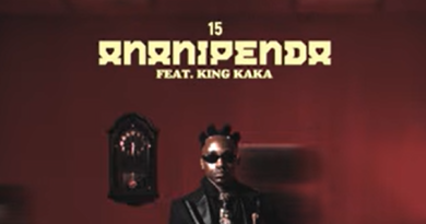 Ibraah ft King Kaka - ANANIPENDA