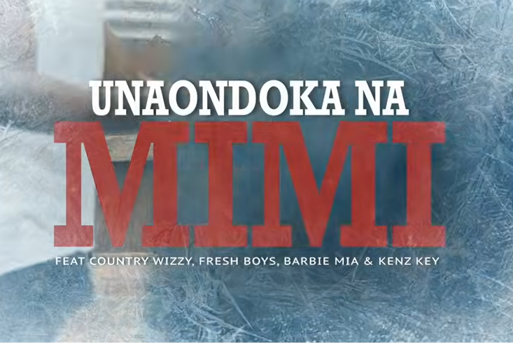 Country Wizzy,FreshBoys,Barbie Mia & Kenz Key – UNAONDOKA NA MIMI | AUDIO