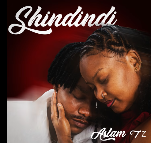 Aslam Tz – SHINDINDI | AUDIO